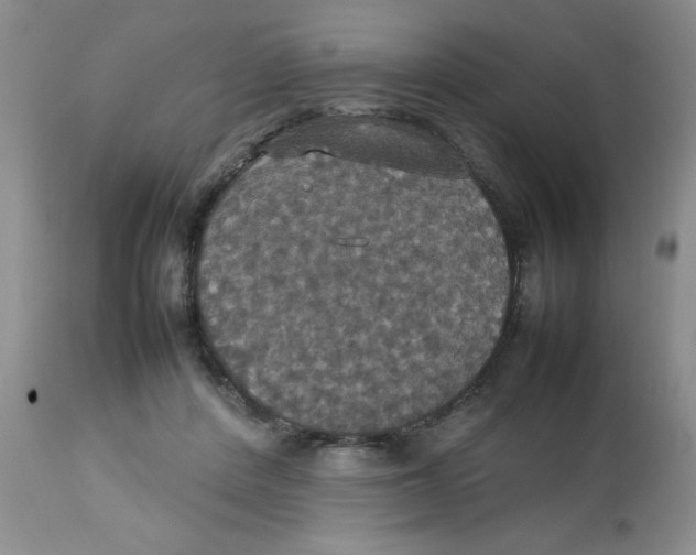 X0000112830408200909181654