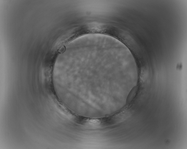 X0000112830409200909181654