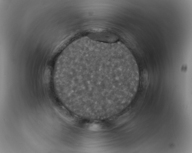 X0000112830412200909181654