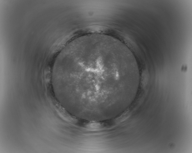 X0000112830413200909181654