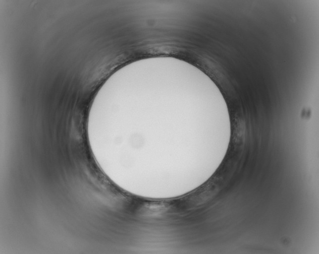 X0000112830414200909181654