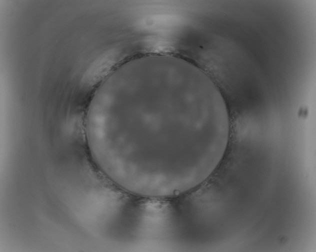 X0000112830415200909181654