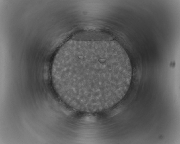 X0000112830416200909181654