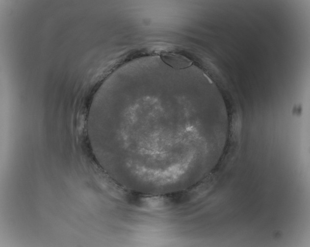 X0000112830417200909181654