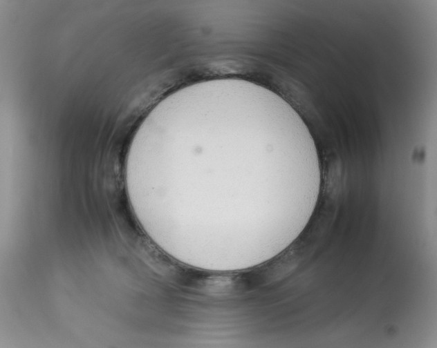 X0000112830418200909181654