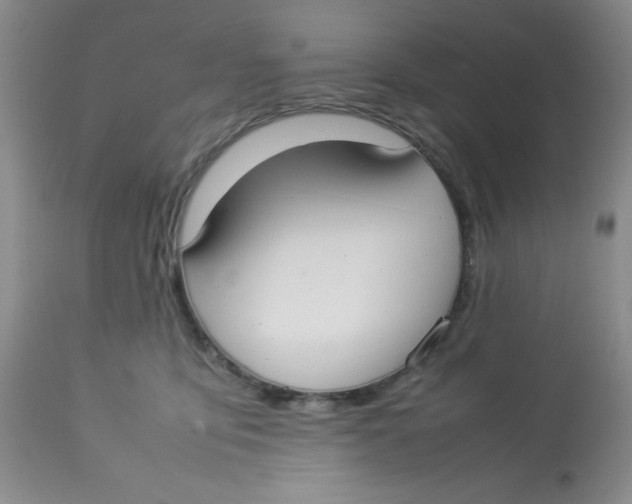 X0000112830419200909181654