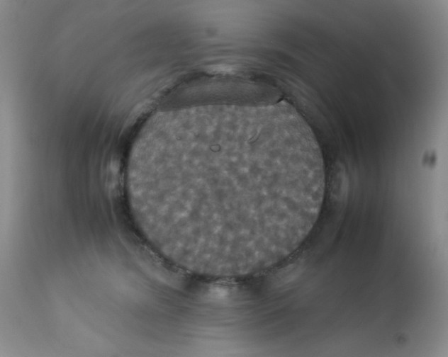 X0000112830420200909181654