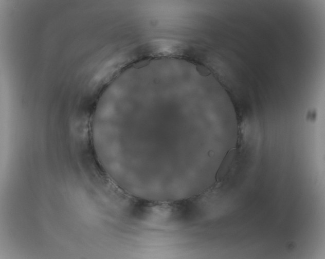 X0000112830423200909181654