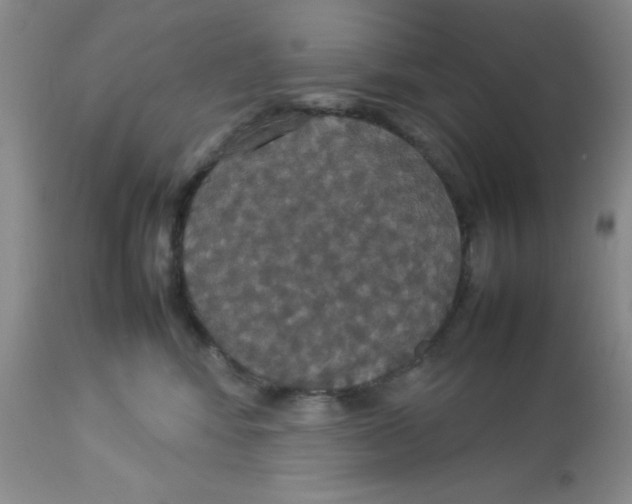 X0000112830424200909181654