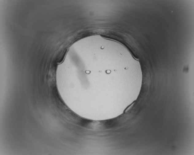 X0000112830425200909181654