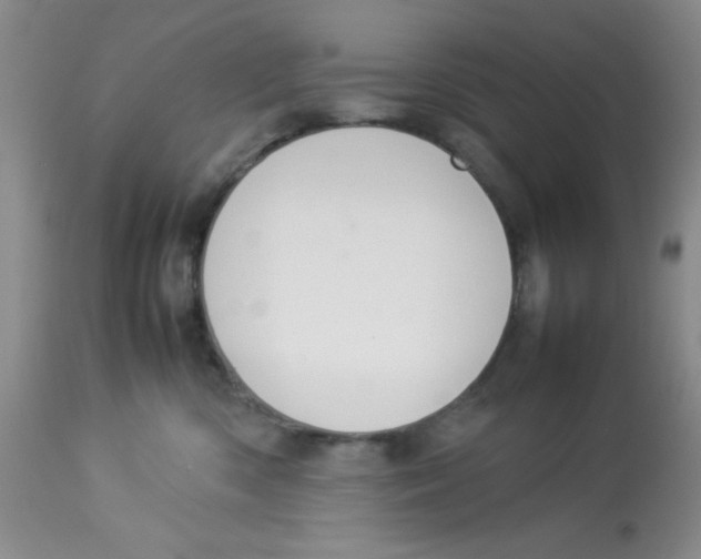 X0000112830426200909181654