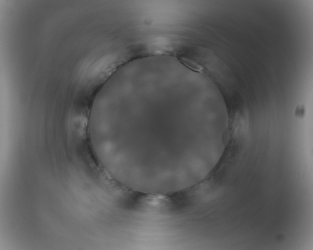 X0000112830427200909181654