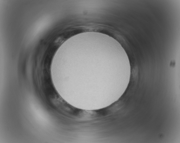 X0000112830429200909181654