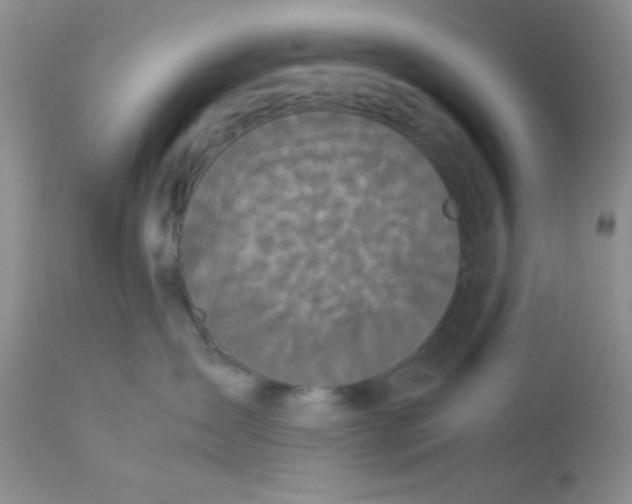 X0000112830431200909181654