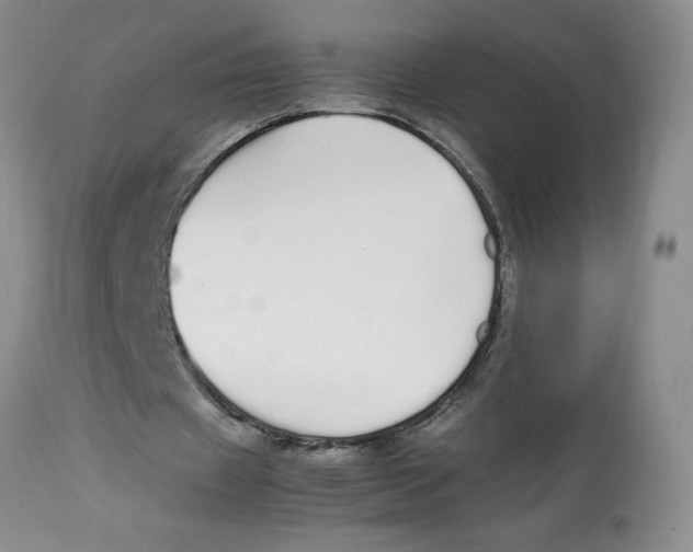 X0000112830433200909181653