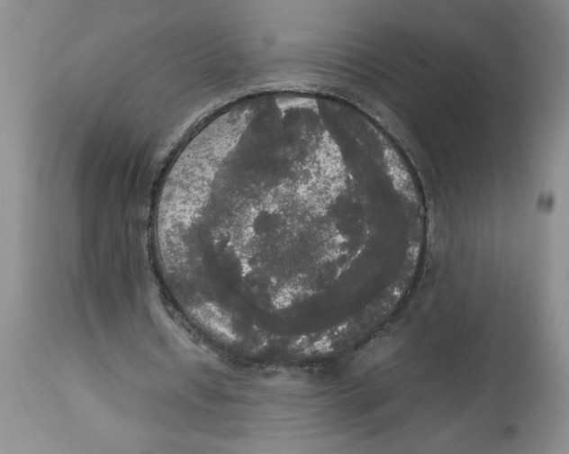 X0000112830434200909181653