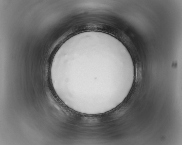 X0000112830435200909181653