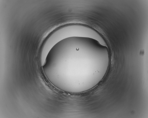 X0000112830436200909181653