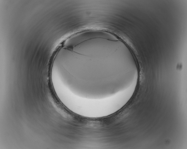 X0000112830438200909181653