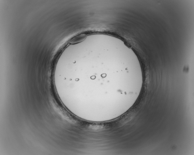 X0000112830440200909181653