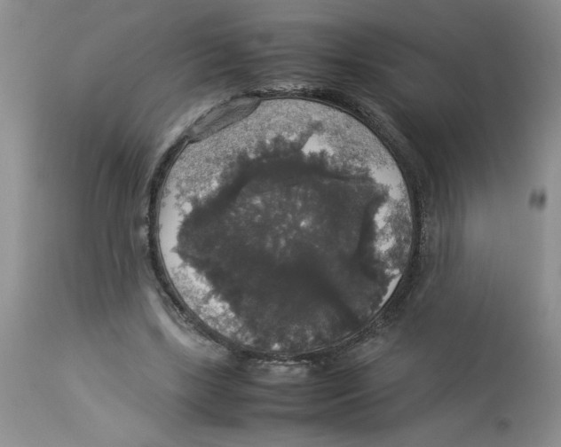 X0000112830443200909181653