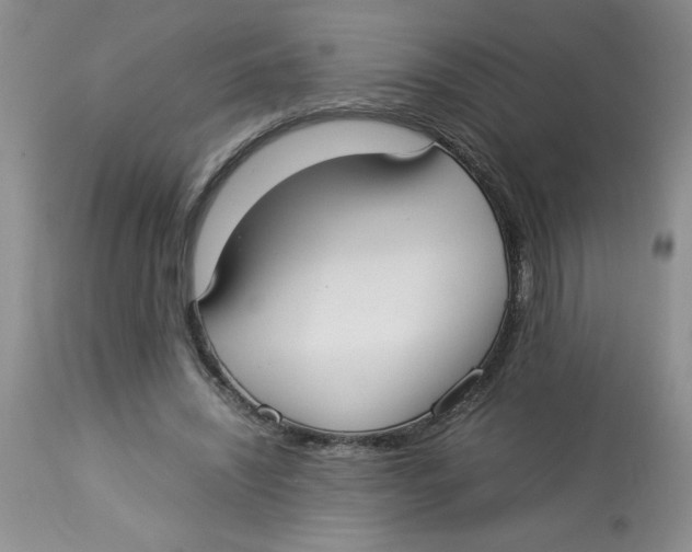 X0000112830444200909181653