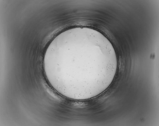 X0000112830445200909181653