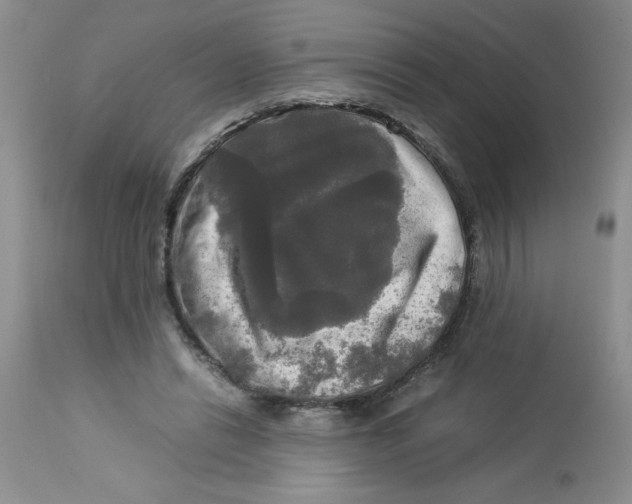 X0000112830446200909181653