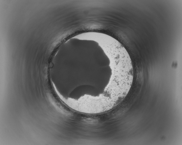 X0000112830447200909181653