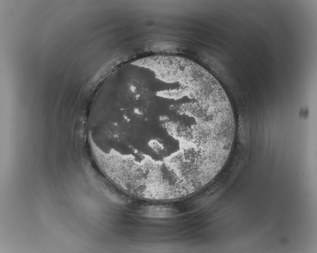 X0000112830449200909181653