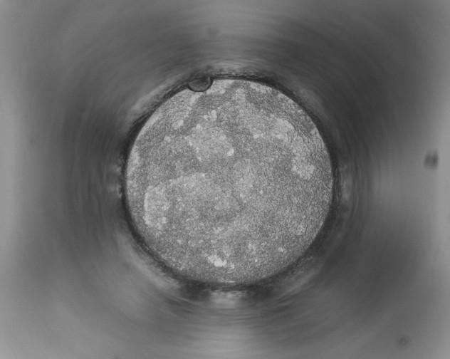 X0000112830450200909181653