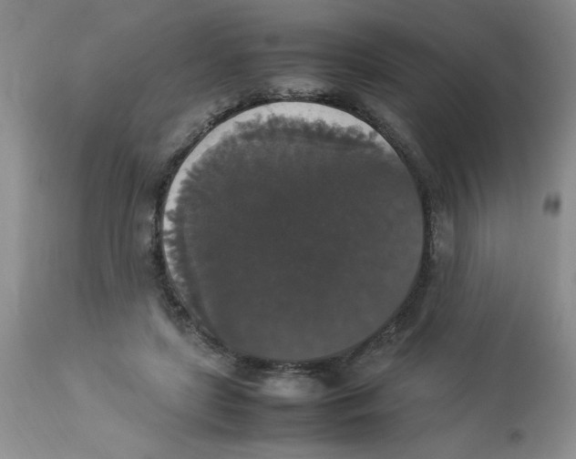 X0000112830451200909181653