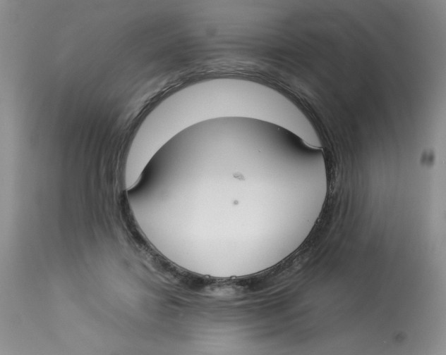 X0000112830452200909181653