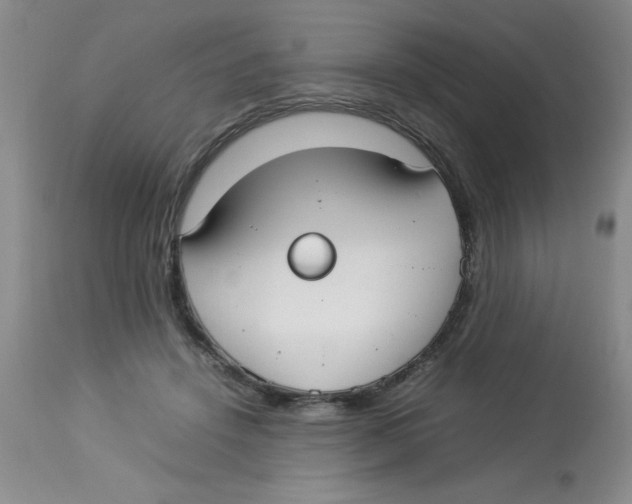 X0000112830456200909181653