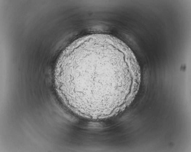 X0000112830457200909181653