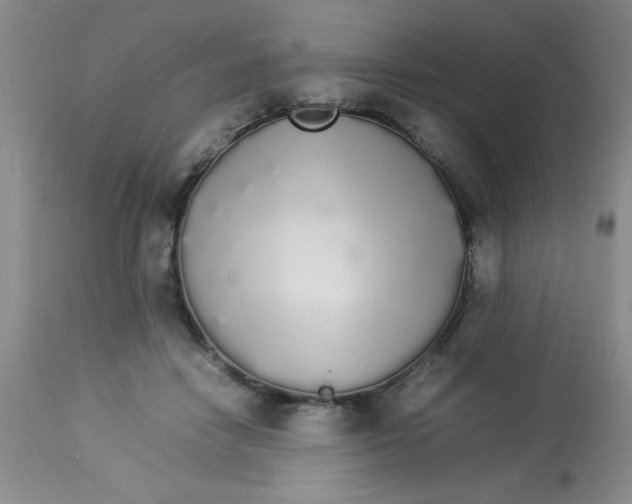 X0000112830458200909181653