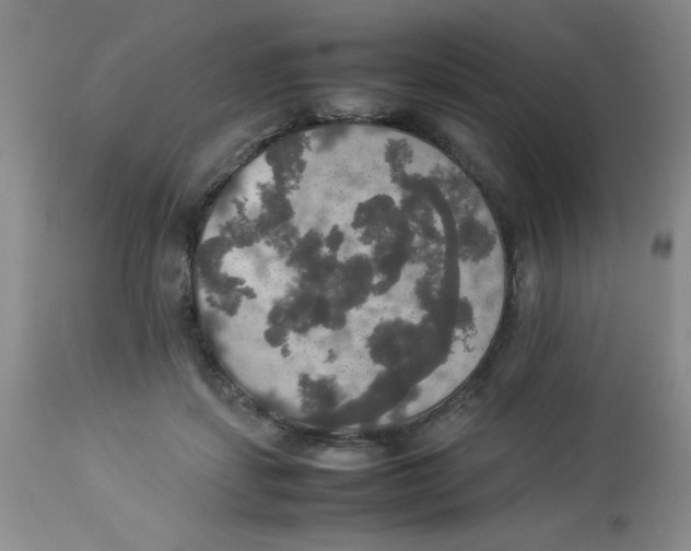 X0000112830459200909181653