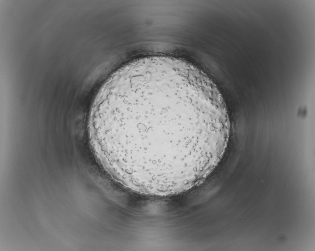 X0000112830462200909181653