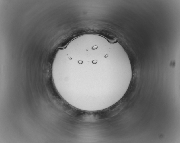 X0000112830464200909181653