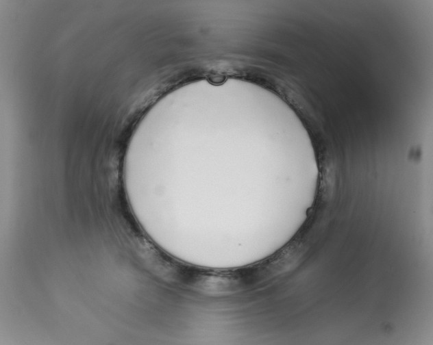 X0000112830466200909181653