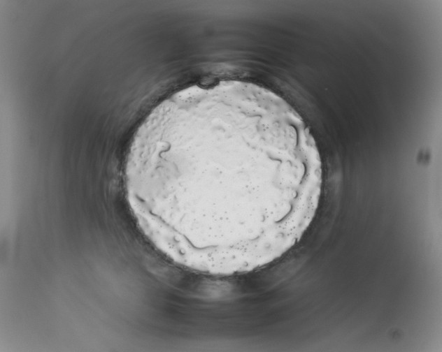 X0000112830469200909181653