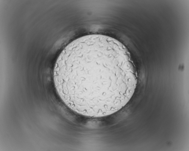 X0000112830470200909181653