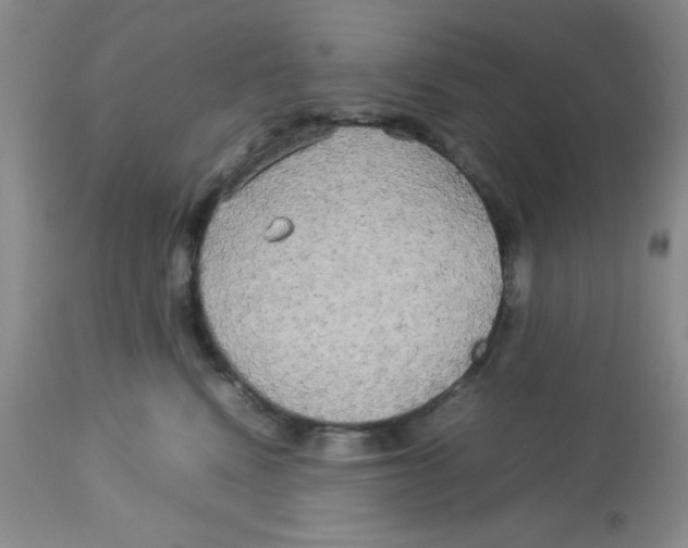 X0000112830472200909181653