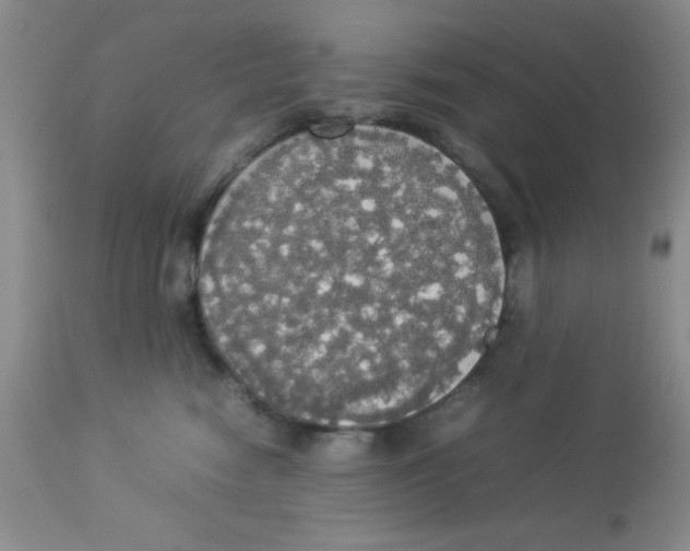 X0000112830474200909181653