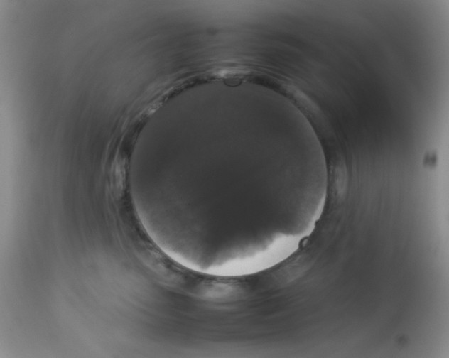 X0000112830475200909181653