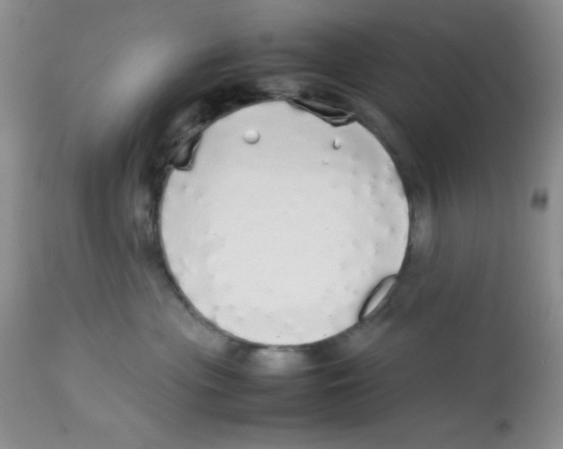 X0000112830477200909181653