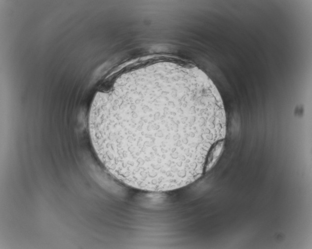 X0000112830478200909181653