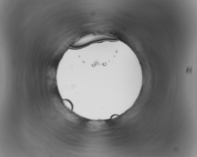 X0000112830480200909181654