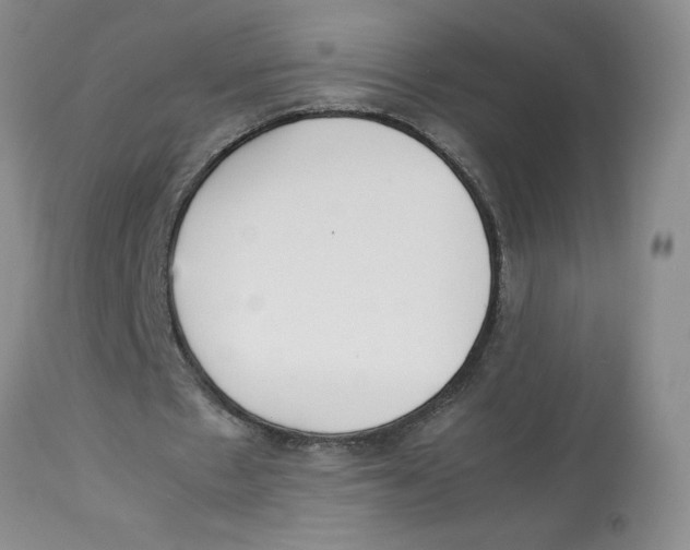 X0000112830481200909181653