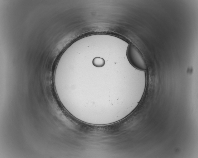 X0000112830485200909181653